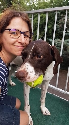 Clique pour agrandir ...